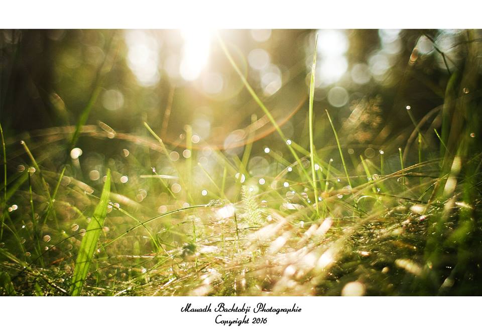 12438952_544903779001673_2756837026981704204_n