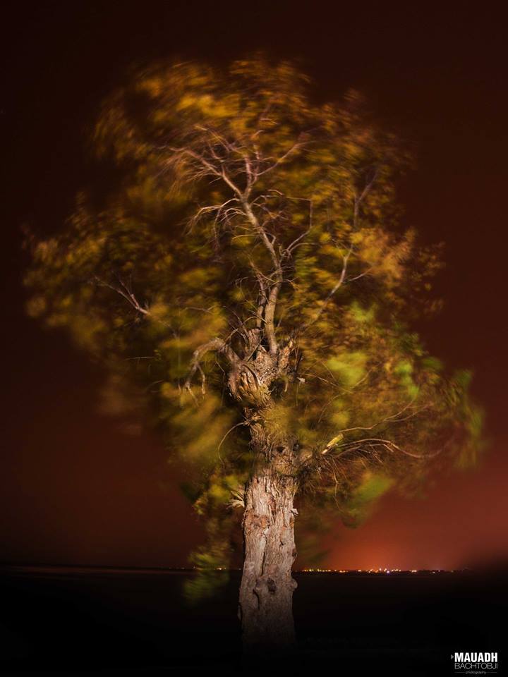 12804881_566689796823071_1159413190214539385_n (1)