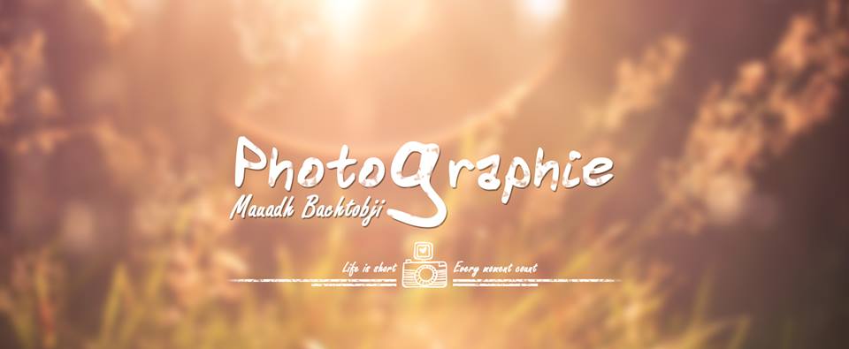 1937168_545033212322063_2794106529678658499_n