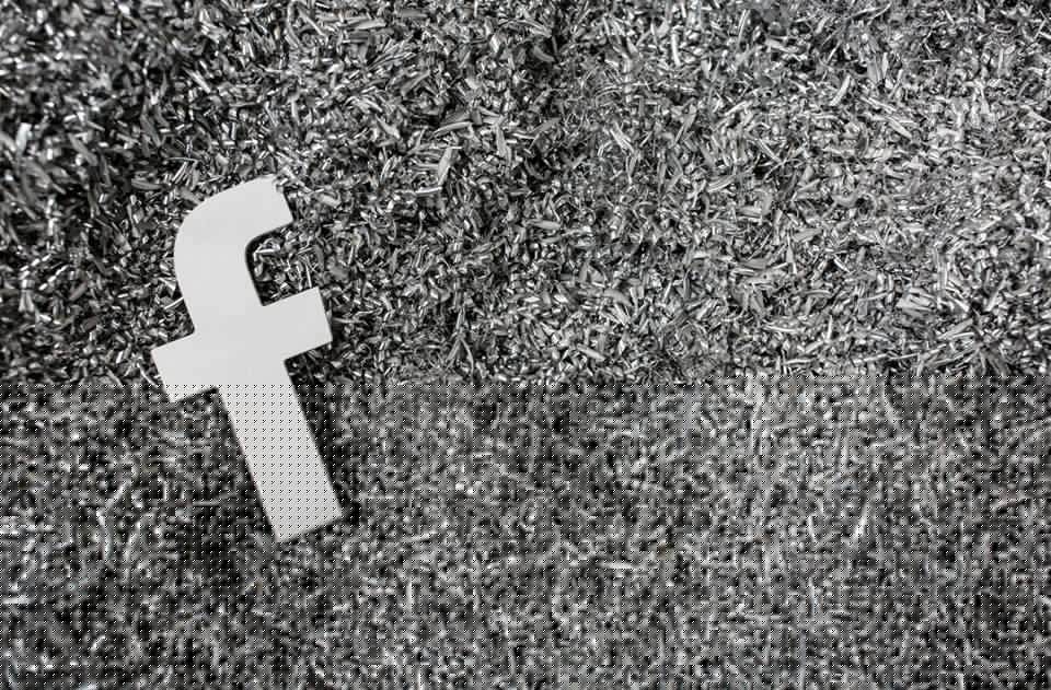 13895462_10103010081753831_3318956197886087778_n