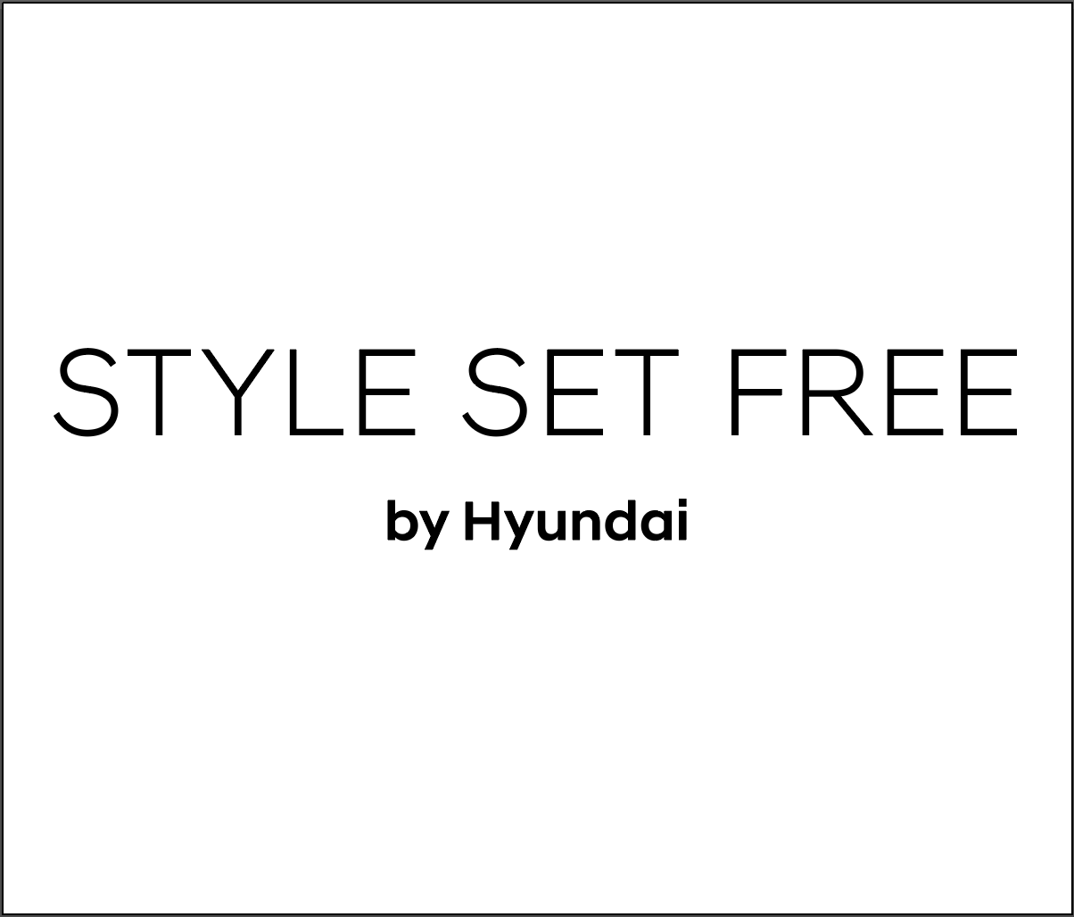 Style Set Free logo