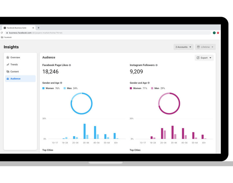facebook-business-suite-audience