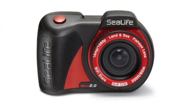 SeaLife-769x420-640x350