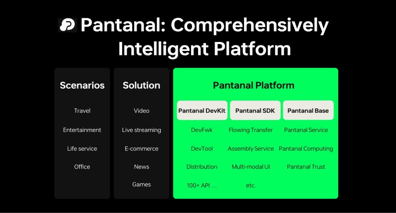  Pantanal : une plateforme entièrement intelligente